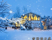 《雪国之劫》经典读后感有感