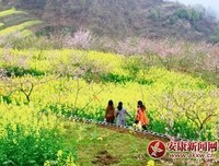 《无愁河的浪荡汉子·八年（上卷）》经典读后感有感