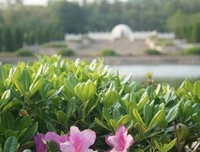 描写居无定所的经典句子