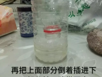 我不吃猫狗，你随意