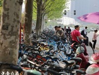 扎堆现象带来的效益