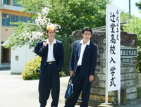 《湘南纯爱组！》经典观后感1000字