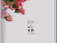 爱文字优美的句子