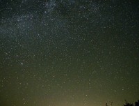 《陨落的星星》读后感锦集