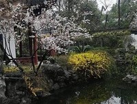 苦寒的句子