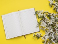 《樱桃日记1：石壁上的动物园》读后感摘抄