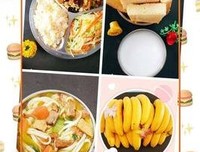 《太阳和鱼》读后感锦集