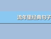 有关兮^ ^流年的句子