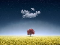 人与人相处，最怕什么？