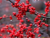 么风格每纸空谈句子大全