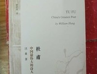 《杜甫：中国最伟大的诗人》观后感精选