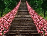 我不会为你的孩子投票