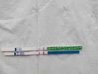 有气无力的句子