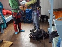 关于大打出手的语句
