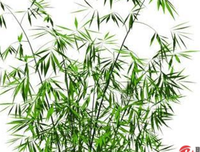 关于婀娜多姿的语句