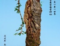 闲情逸致的名人名言
