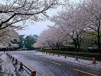 把“大海”搬到桌子上