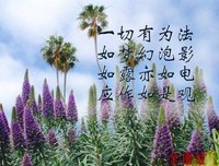 关于心高气傲的座右铭