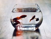 《易经》的句子