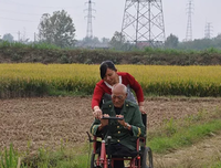 平凡的故事，不平常地讲述