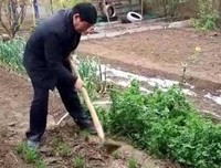再见了，大衣哥！