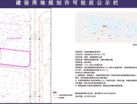 杨路：父母对孩子的爱，切忌太满！