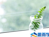 很好的优美句子