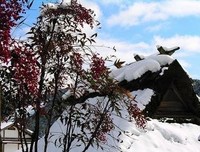 精妙句子