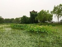 陌上花开。经典名句