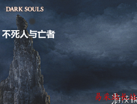 在黑暗中醒来读后感锦集
