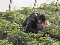 甜蜜的名言_关于甜蜜的名言