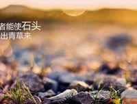 关于无能为力的语句