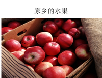 关于(⊙o⊙)哇的句子