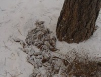 忍不了，己无知