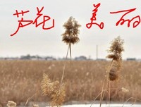 人们总是对别人的日常感到新奇，却让别人觉得颇为无聊