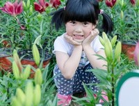 豆蔻年华