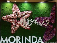 紫微 | 你的人生因为什么而“幸运”？