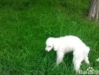 【厌食症探究】之一：“如果没有物质交换，我就自由了