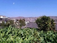 有关愿你别学你小这个和把而别发你把里温柔相待的句子