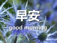 心优美的句子