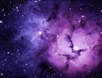 丑恶的句子