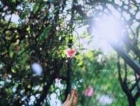 小說語錄经典的句子