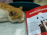监考时的思索