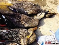 秦时明生里经典名句