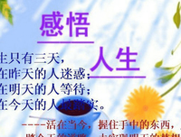 剧人生，句人生好词好句