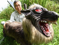 《抓住救命稻草的野兽们》的影评大全