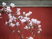 关于春夏秋冬名言名句