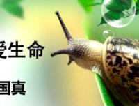 关于扑面而来的语句