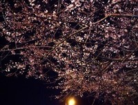 生活还要继续