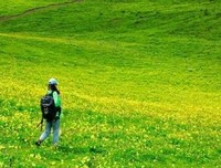 鸢尾花 || “ 你自人海来，还你人海去 ”
